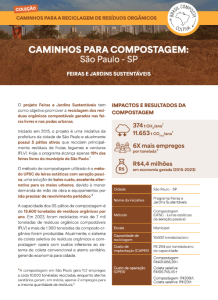 10.Ficha Tecnica Sao Paulo